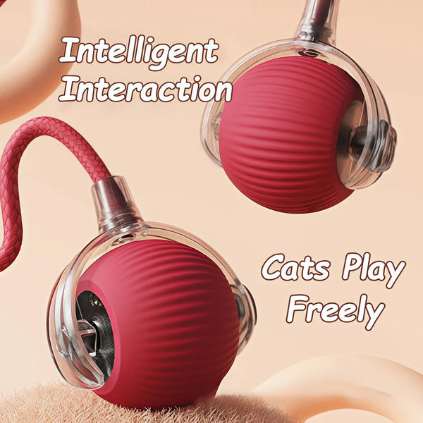 Smart Playful Pet Ball